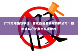 广州婚姻出轨取证：合肥靠谱的私家侦探公司：揭秘隐私守护者的秘密世界