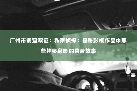 广州市调查取证：私家侦探：揭秘影视作品中那些神秘身影的幕后故事