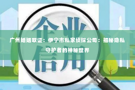 广州婚姻取证：伊宁市私家侦探公司：揭秘隐私守护者的神秘世界