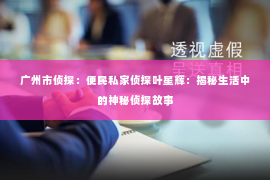 广州市侦探：便民私家侦探叶星辉：揭秘生活中的神秘侦探故事