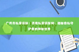 广州市私家侦探：济南私家侦探网：揭秘隐私守护者的神秘世界