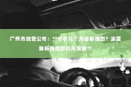 广州市调查公司：**分手几个月容易挽回？深度解析挽回时机与策略**