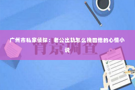 广州市私家侦探：老公出轨怎么挽回他的心情小说